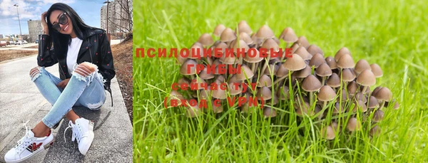 ПСИЛОЦИБИНОВЫЕ ГРИБЫ Нея