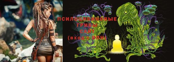 ПСИЛОЦИБИНОВЫЕ ГРИБЫ Нея