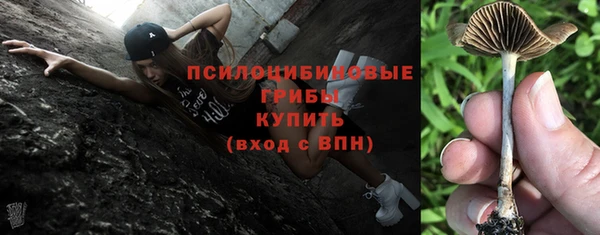 прущая мука Наволоки