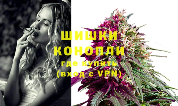 ПСИЛОЦИБИНОВЫЕ ГРИБЫ Нея