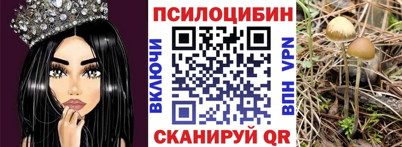 ссылка на мегу ссылка  Макушино  Галлюциногенные грибы Psilocybe  закладки 